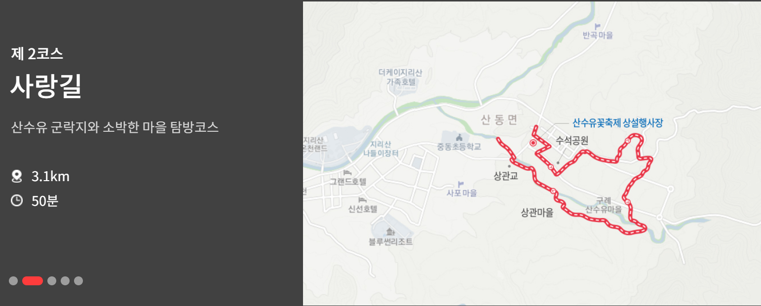 구례 산수유축제