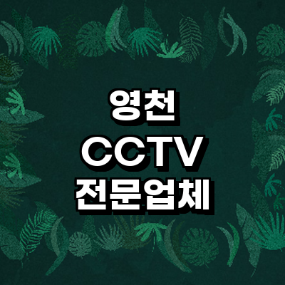 영천시 cctv