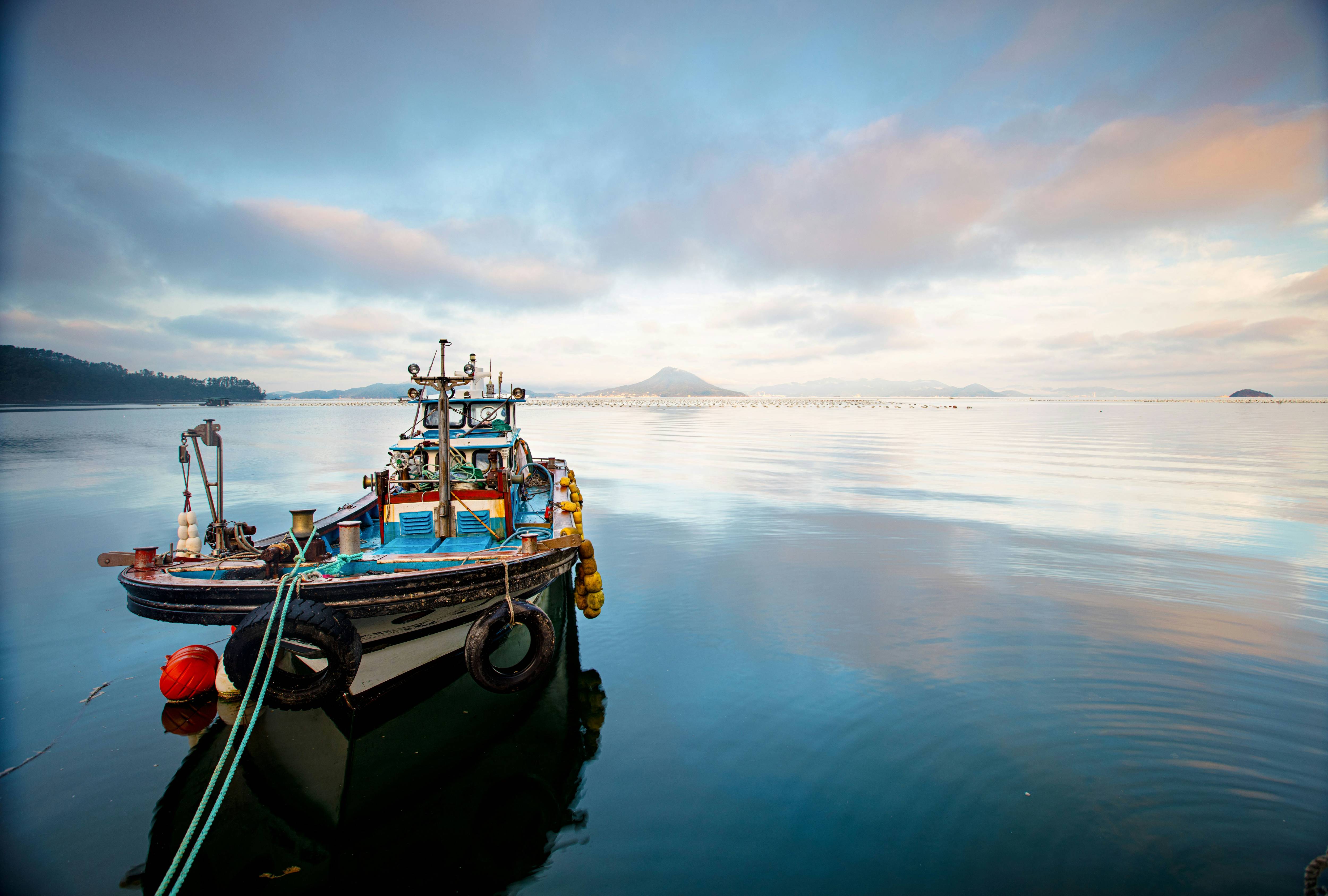 낚시 관련 이미지들