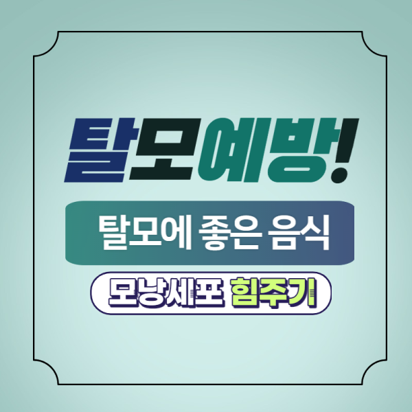 탈모 음식