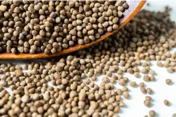 들깨 가격 및 효능, 영양소와 먹는 방법