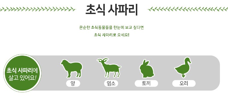 초식사파리 안내