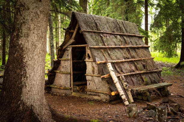 실제 야간 체험, 맨몸 생존 24시간 기록 챌린지