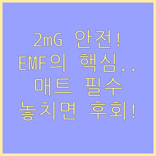 최고 안전 기준 2mG 온수매트 EM..