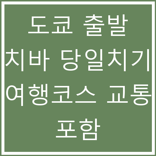 도쿄 출발 치바 당일치기 여행코스 교통 포함