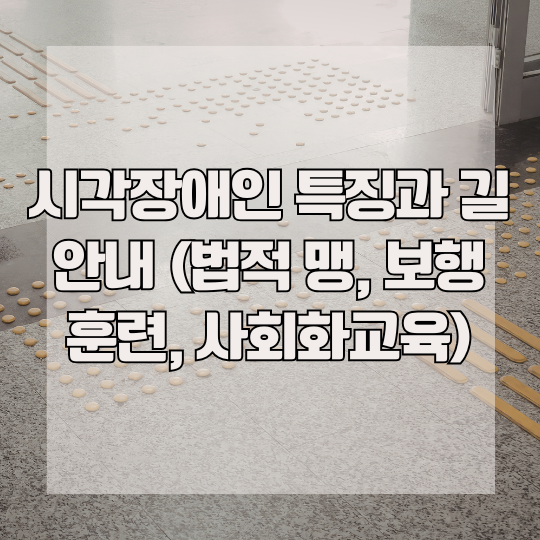 시각장애인 특징과 길 안내 (법적 맹, 보행훈련, 사회화교육)