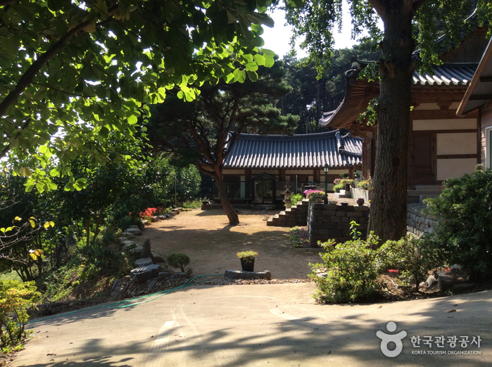 꼴뚜기효능 갑오징어효능 장항항 수산물 꼴갑축제