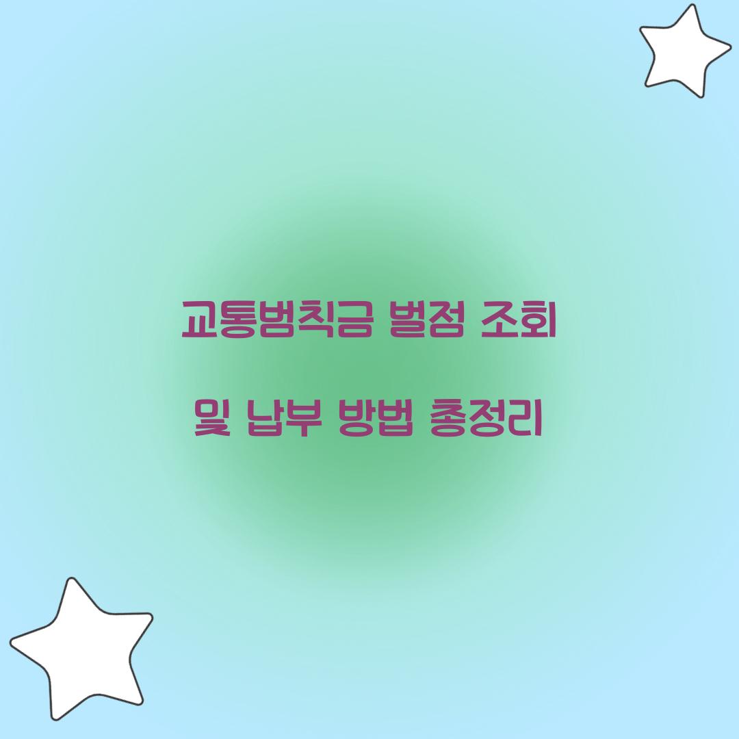 교통범칙금 벌점 조회