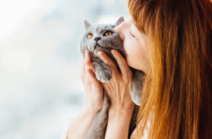회색 고양이를 안고 키스를 하는 여자.