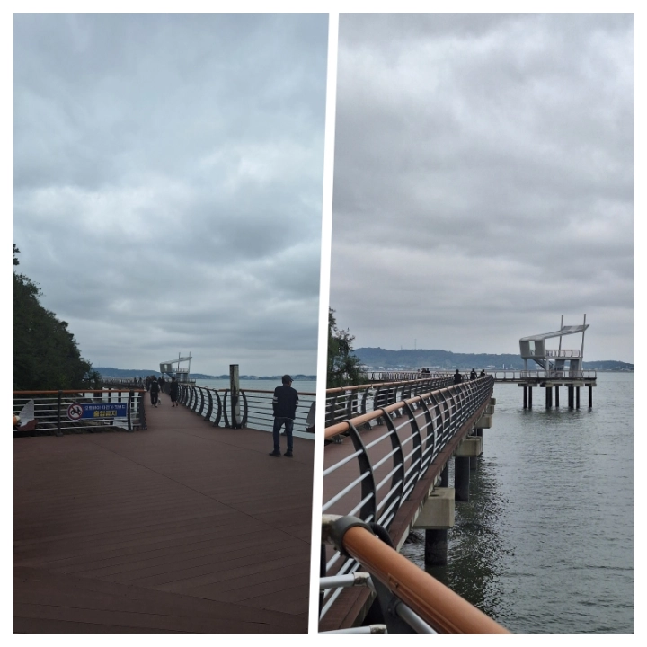 한진포구-전망대-가는길