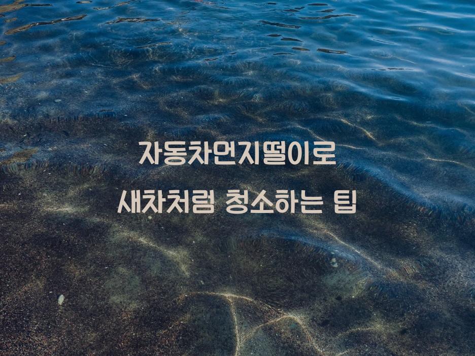 자동차먼지떨이