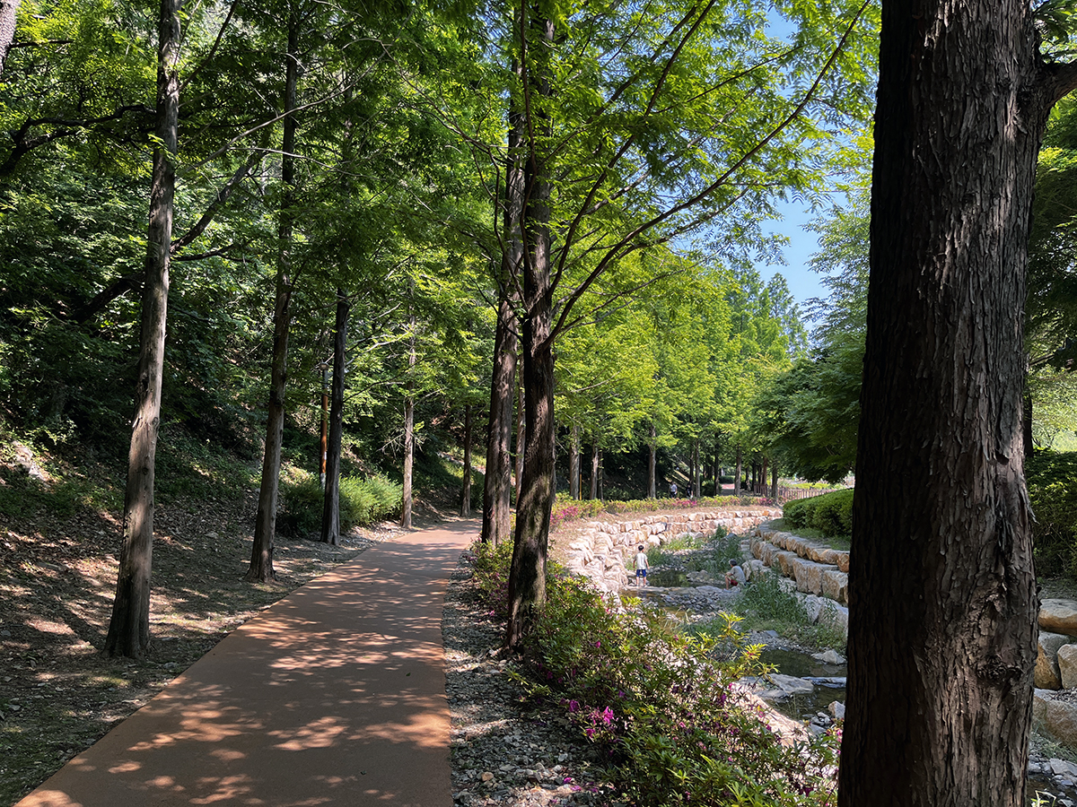왼쪽 산책길.