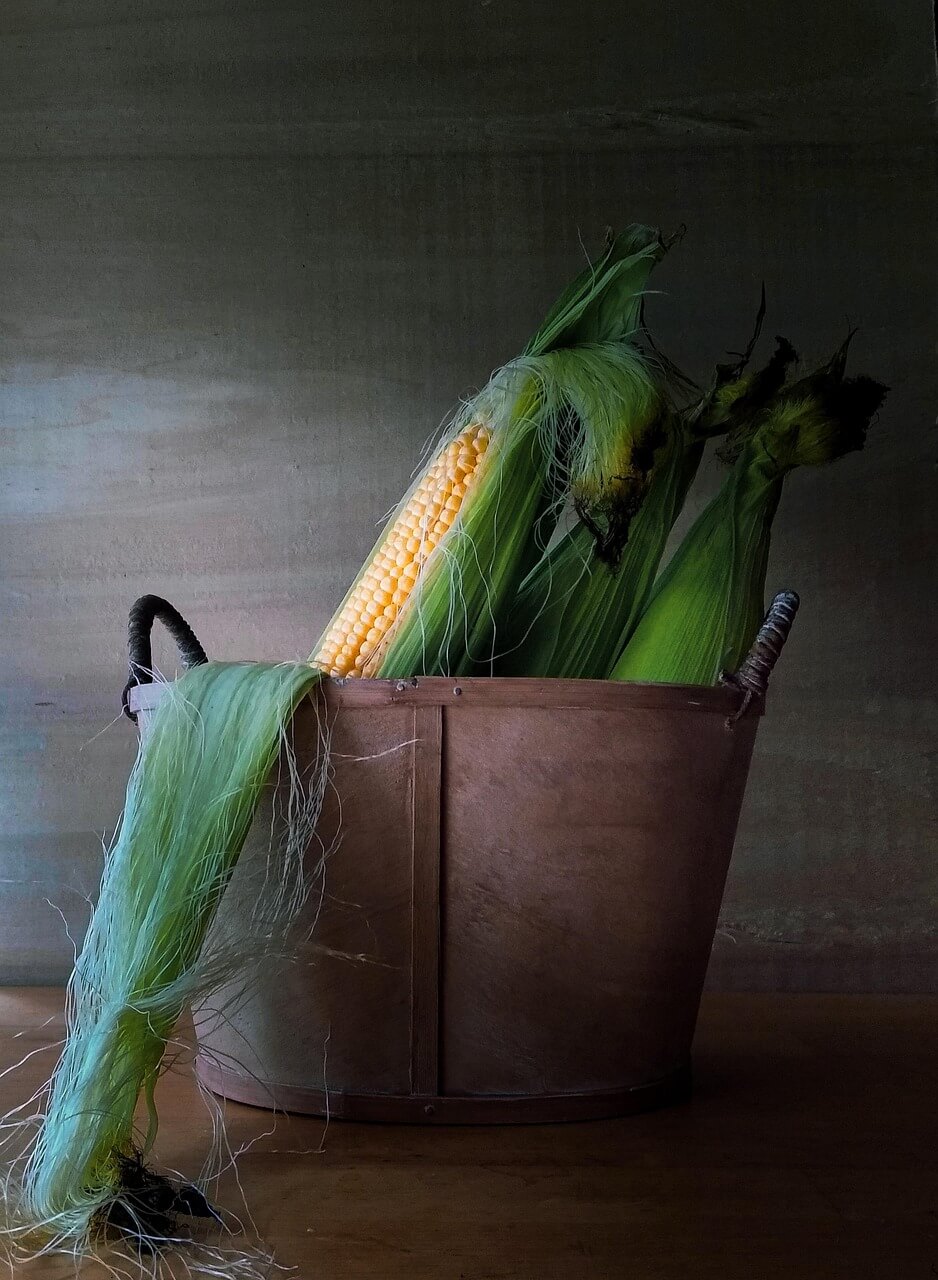 옥수수 수염차 물대신 마셔도 될까?