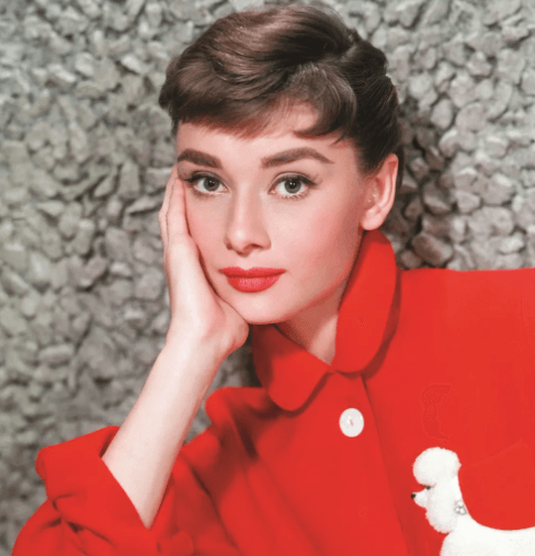 자유를 꿈꾸는 공주