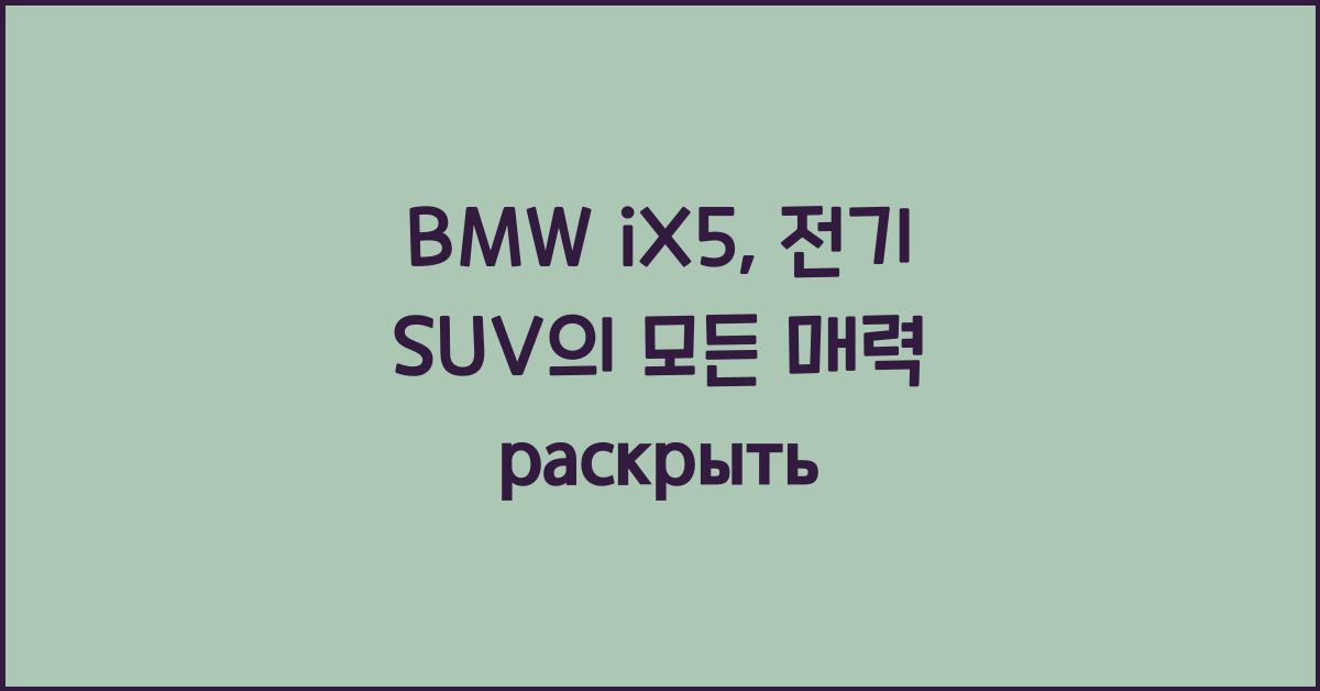 BMW iX5