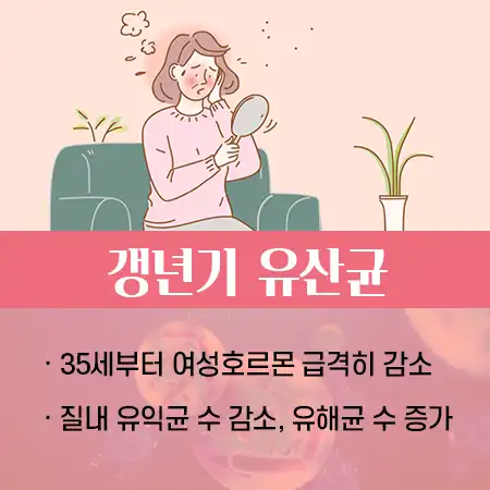 갱년기 유산균 효능