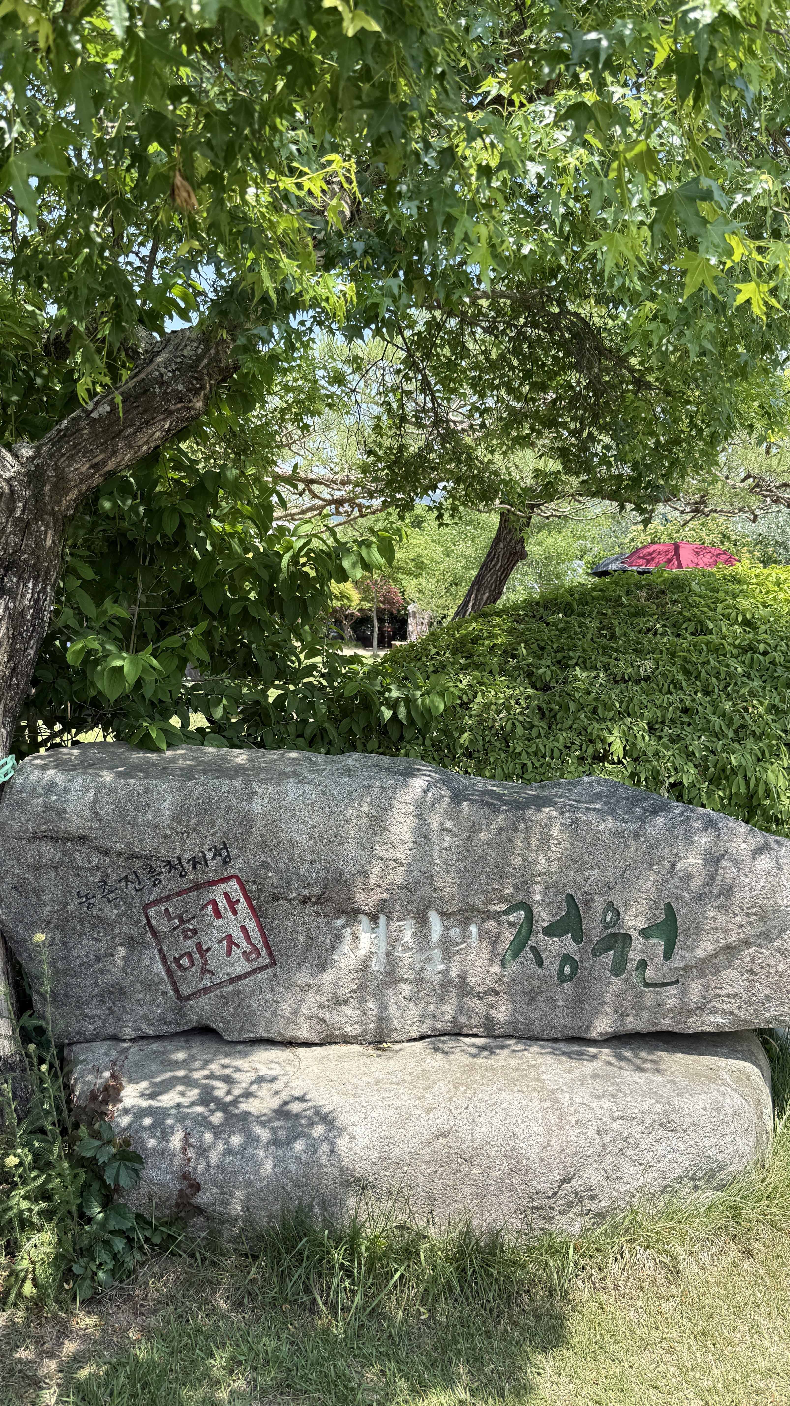 강원도 횡성 맛집_채림의 정원