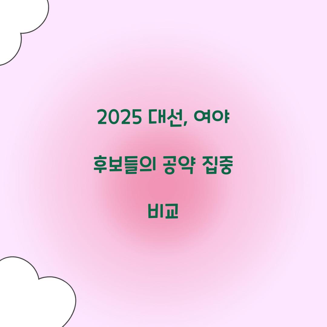 2025 대선