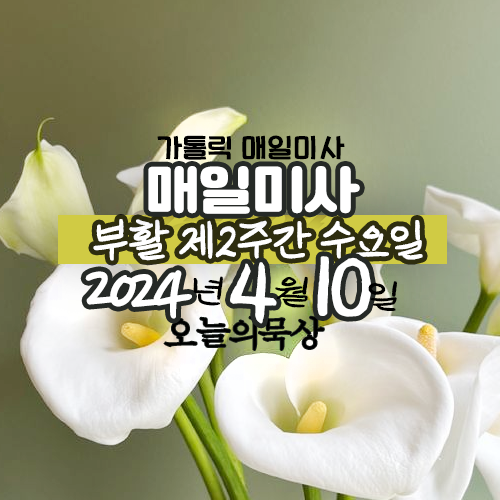 2024년 4월 10일 매일미사 부활 제2주간 수요일 독서 복음 오늘의 묵상