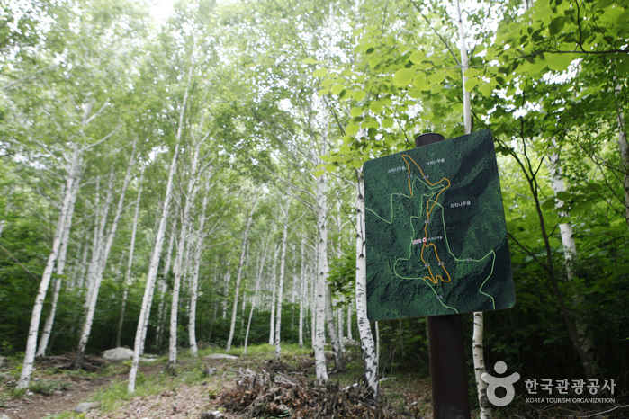 영양 가볼만한곳 베스트10