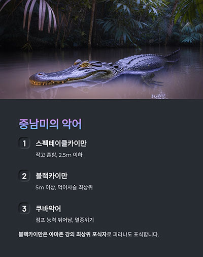 중남미의 악어 – 카이만과 함께 사는 아마존