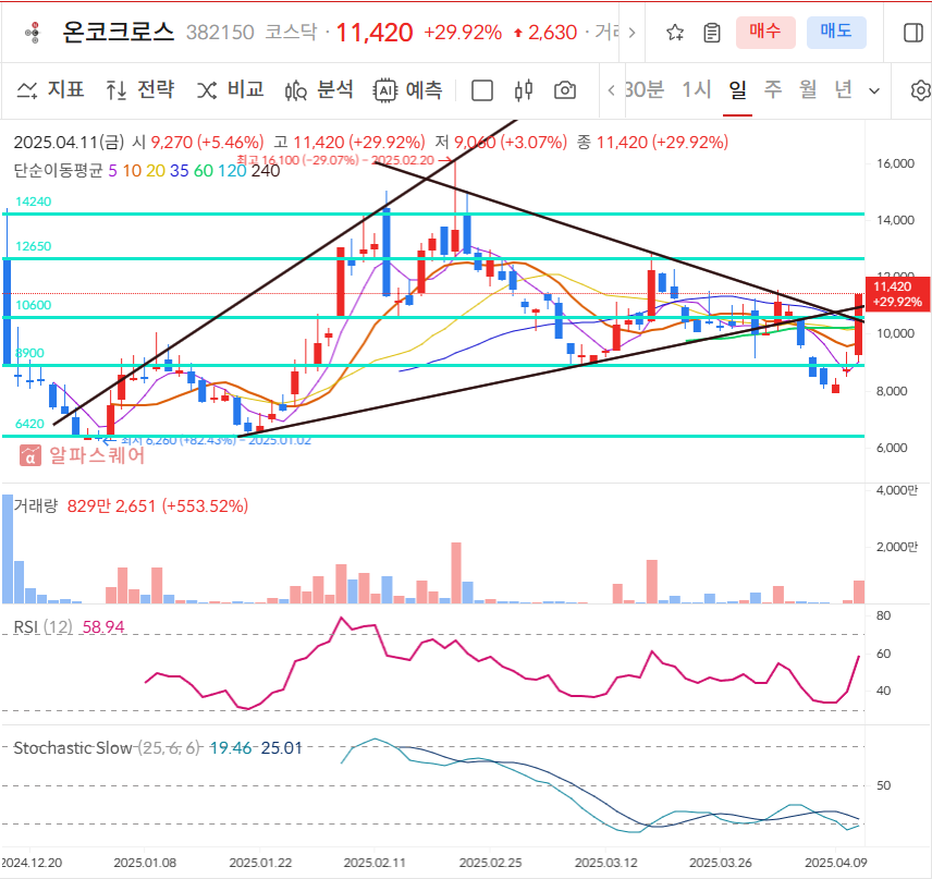 온코크로스 일봉차트