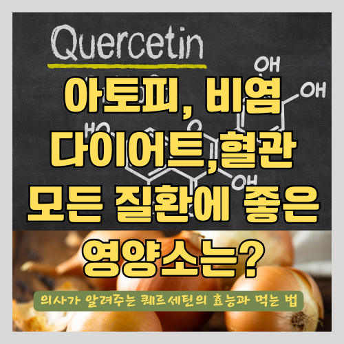다이어트와 면역력 강화 &#124; 알레르기 &#124; 아토피 암 등 모든 질환에 효과 좋은 퀘르세틴의 효능 썸네일