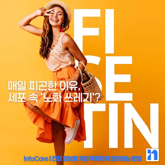 피세틴 효능 복용법