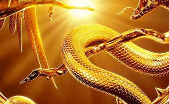 2024년 신년운세 (6)뱀띠편입니다.