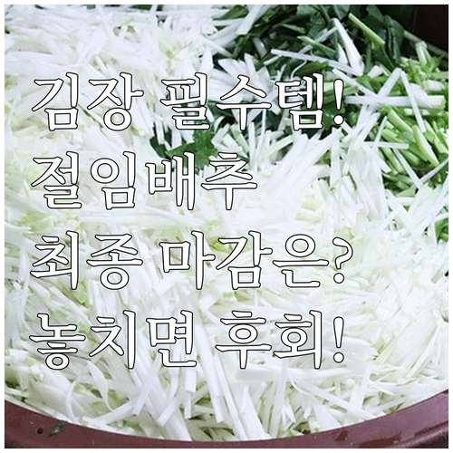 김장 하루 전 도착일 지정 절임배추 ..