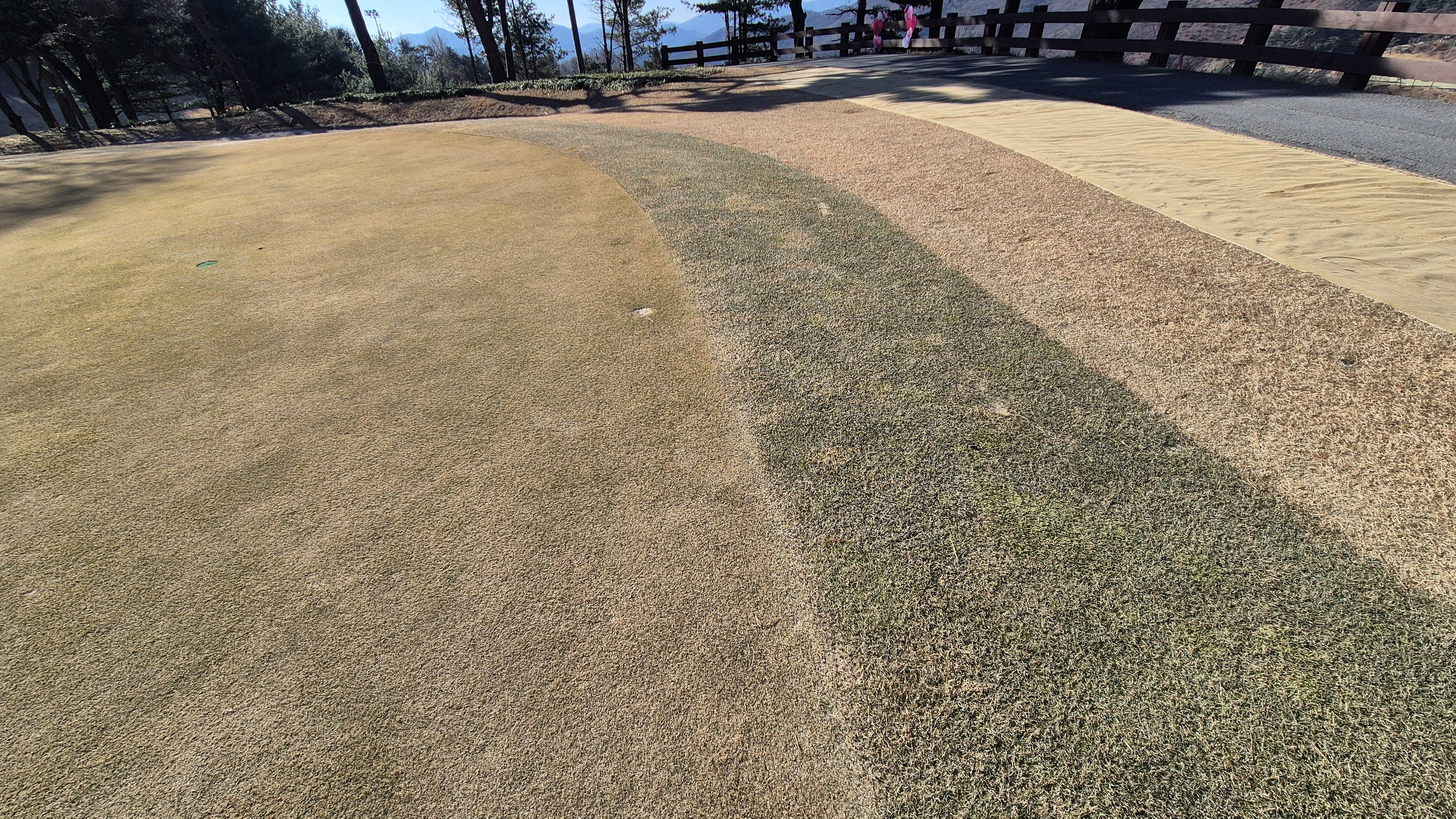 로제비앙gc 로제-비앙 코스 그린 관리 상태