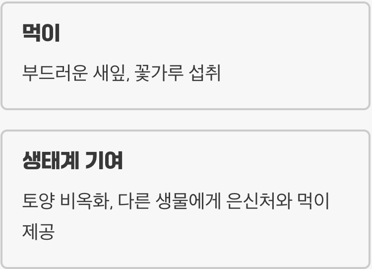 숲의 작은 정원사, 그리고 먹이 활동