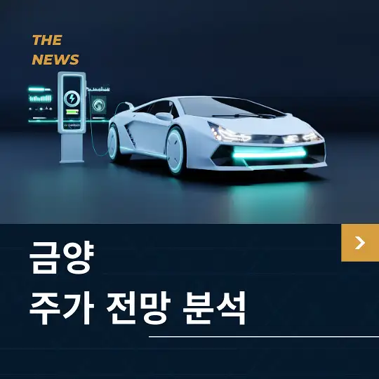 금양 주가 전망 및 분석