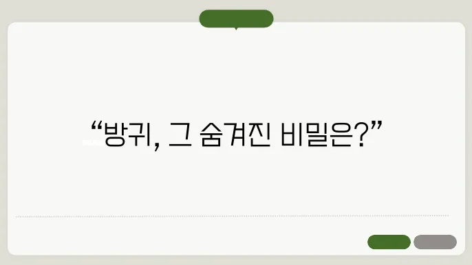 방귀가 많이 나오는 이유