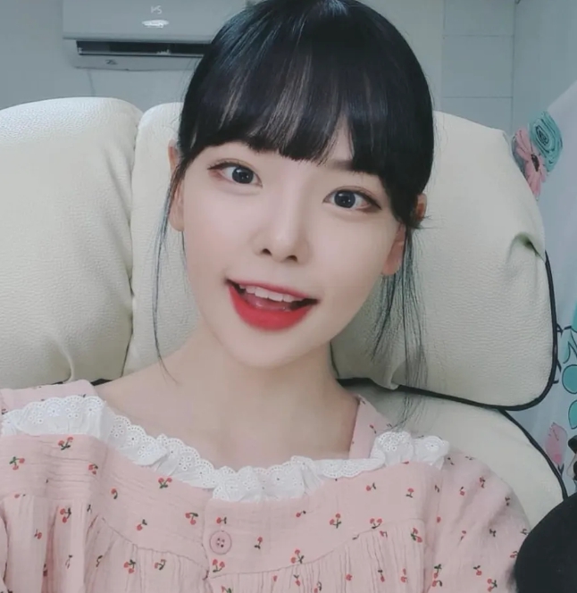 기룡이