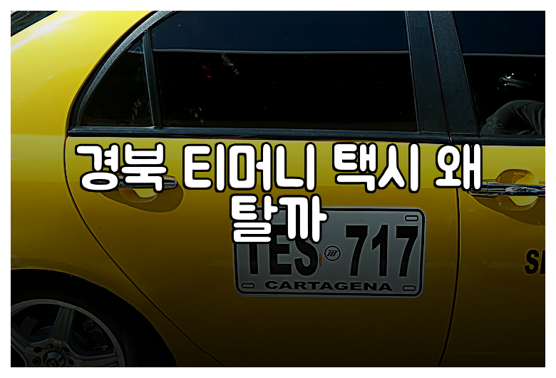 경북 티머니 택시 왜 탈까