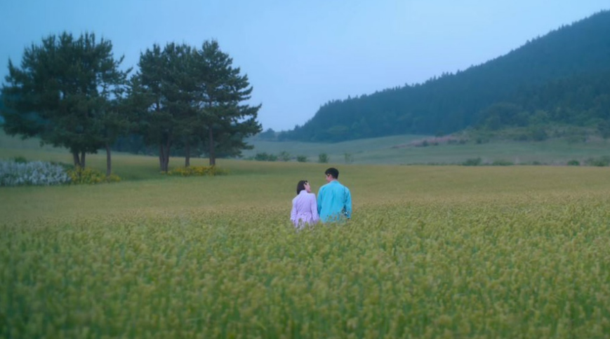 폭싹 속았수다, 아이유, 정주행