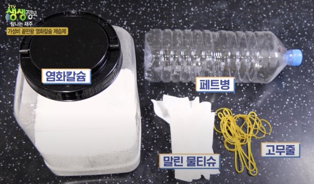 [습기제거방법 총정리] 천연 제습제 숯, 식물, 얼음물페트병, 소금, 커피찌꺼기등