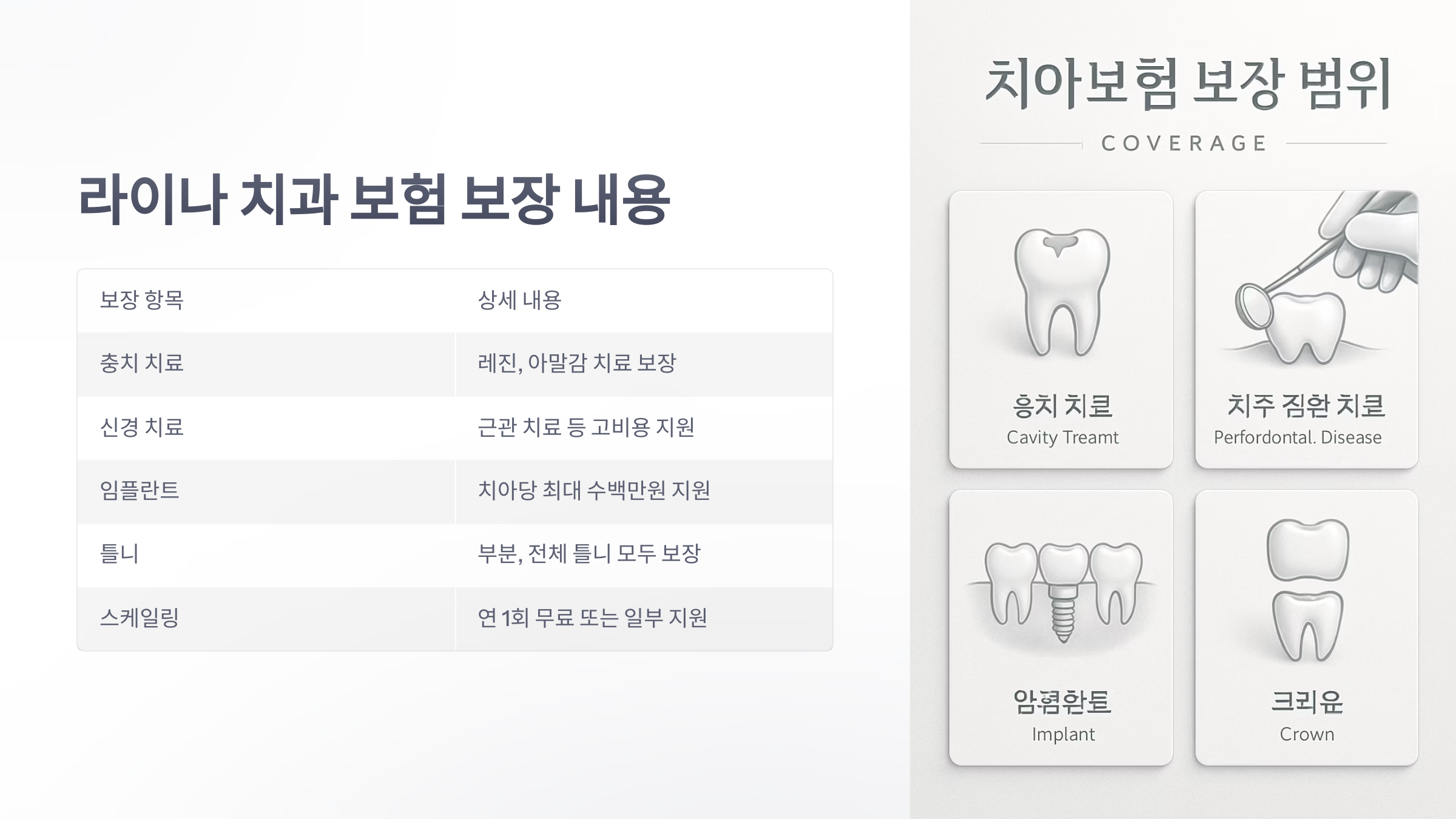 라이나-치과-보험-04