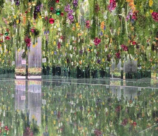 가평 베고니아 새정원 - 아이와 가볼만한 곳 추천, 후기