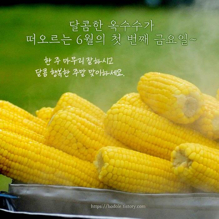 6월 인사말 이미지