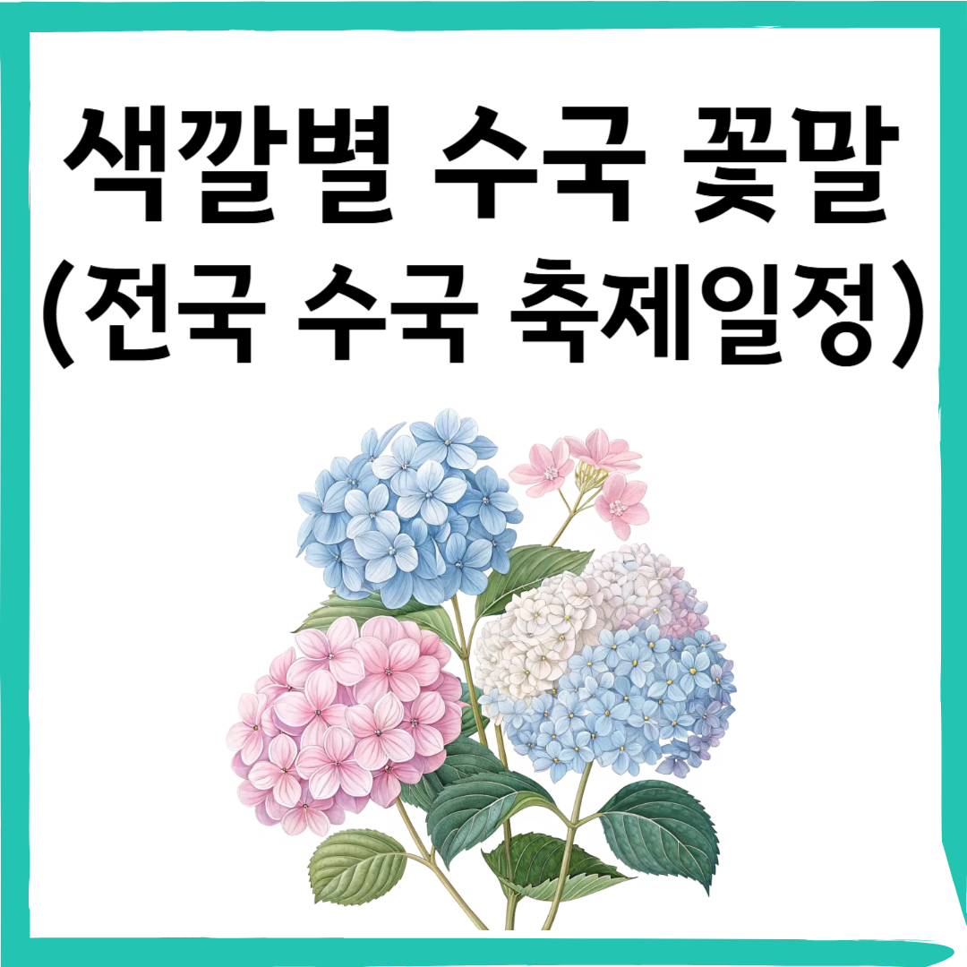 수국 꽃말 총정리! 전국 수국 명소와 축제까지 한눈에