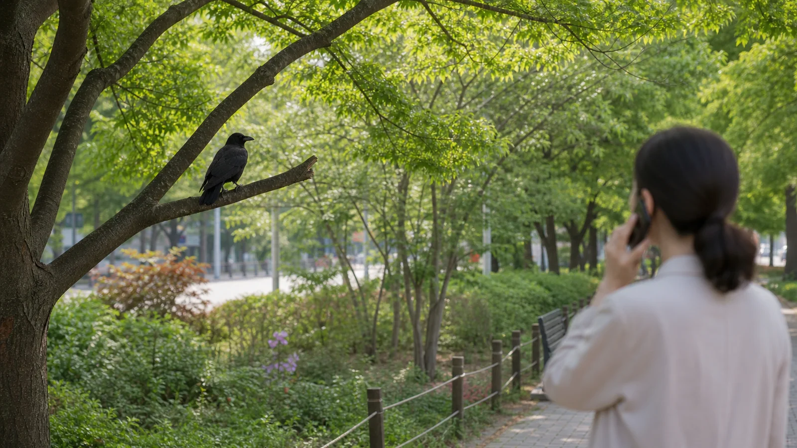까마귀 새끼 발견&middot;법적 기준&middot;구조 연락&middot;재발 방지