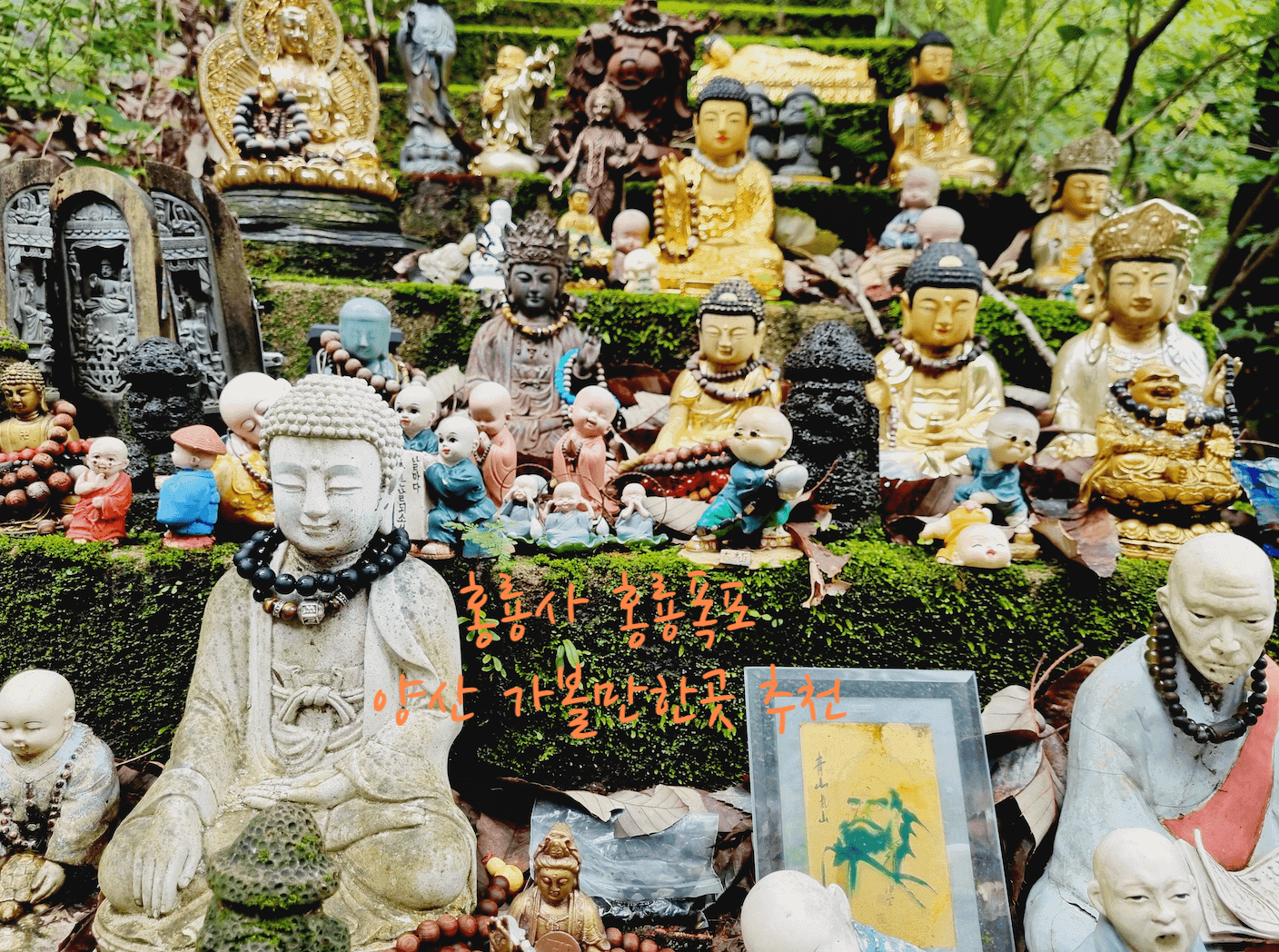 홍룡사 홍룡폭포