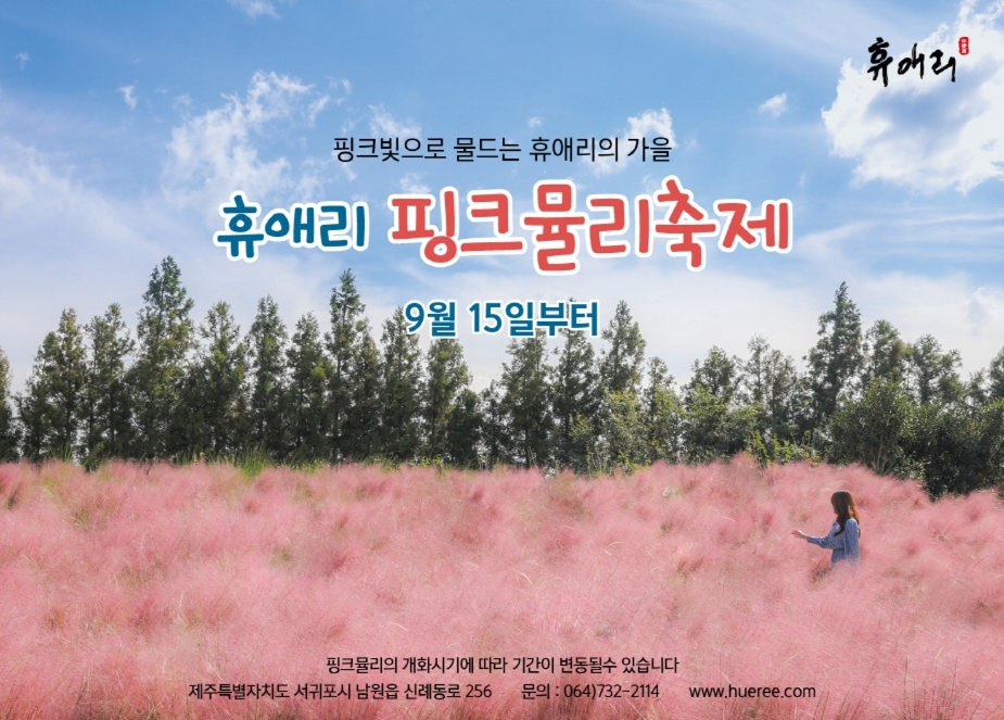 제주 휴애리 핑크뮬리 축제(구석구석 홈페이지)
