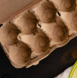 알부민 많은 음식