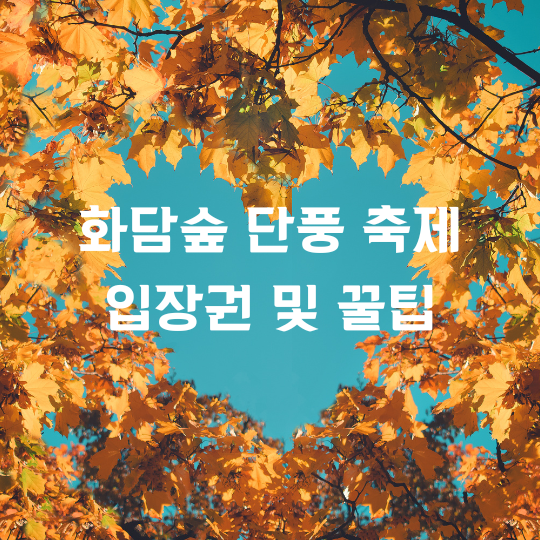 화담숲 가을 단풍 축제 썸네일