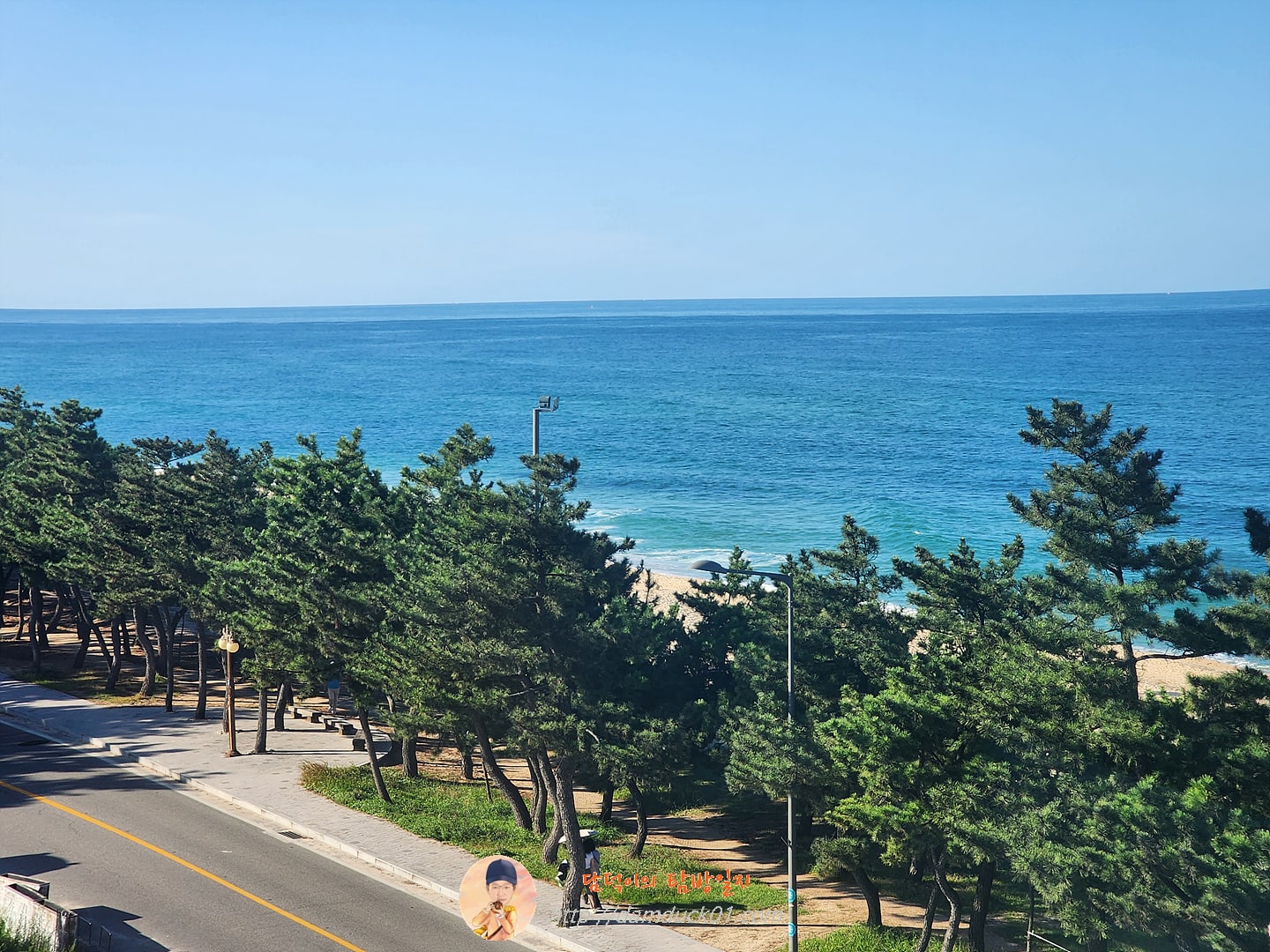 안목을높이다 오션뷰