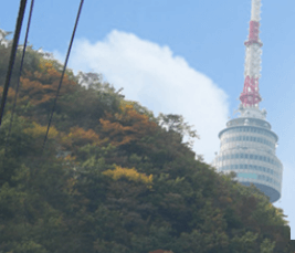 남산 케이블카 가는방법