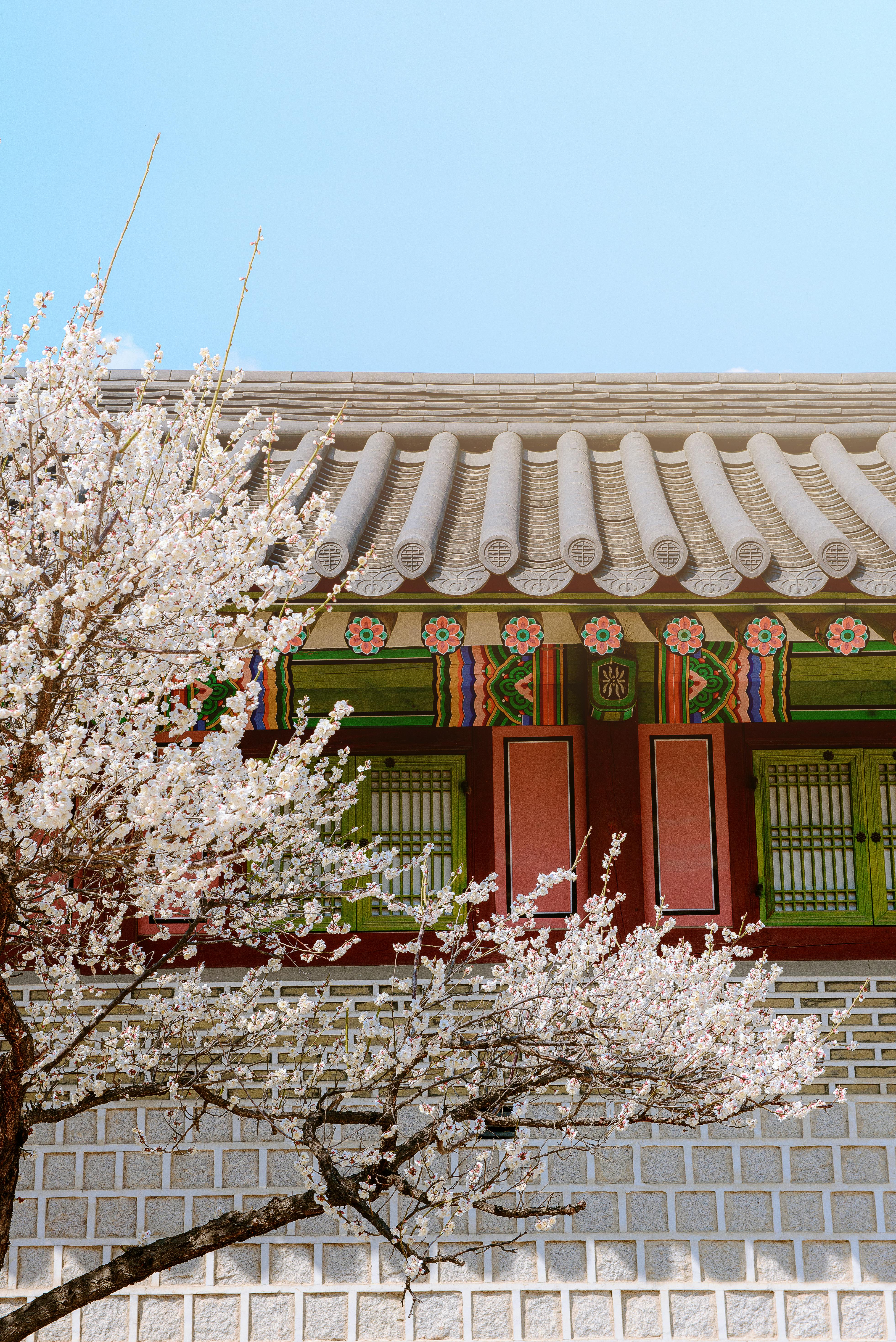 2025 추석지원금 신청법과 대상